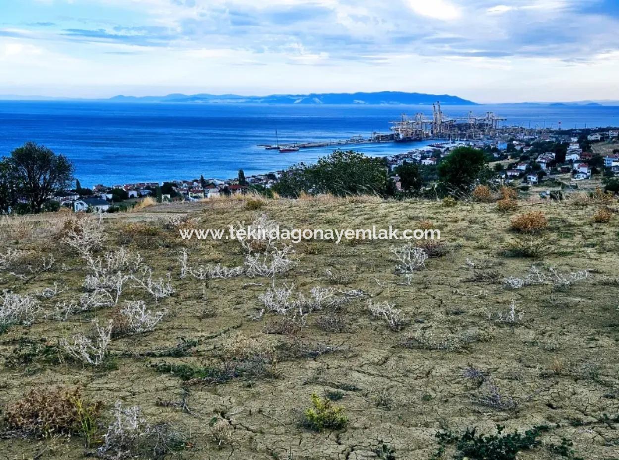 Tekirdağ Barbarosta Acil Satılık Full Deniz Manzaralı Kooparetif Site Yapımına Uygun 3.300 M2 Net Arsa
