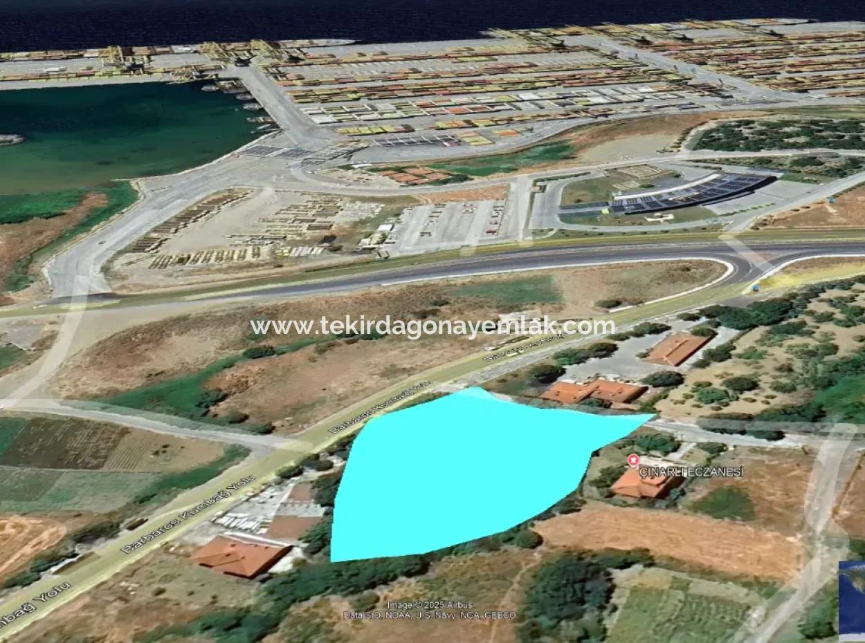 Asyaport Limanına Yakınlığı Ve Ticari Arsa Olşuyla Bu Fırsatı Kaçırmayın