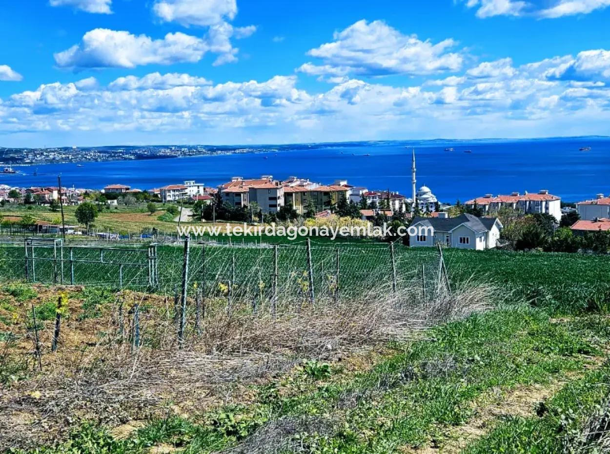 Acil Satılık Tekirdağ Barbarosta 40 Dairelik Full Deniz Manzaralı Konut İmarlı Arazi