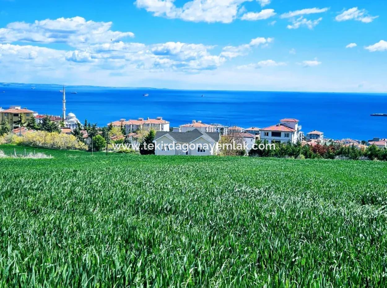 Harika Deniz Ve Doğa Manzaralı İster Kooparetif. İster Lüxs Villa Yap. 40 Dairelik 6.400 Konut İmarlı Arazi