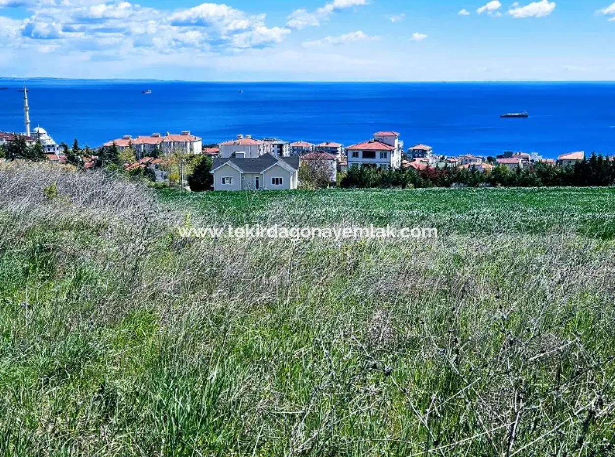 Harika Deniz Ve Doğa Manzaralı İster Kooparetif. İster Lüxs Villa Yap. 40 Dairelik 6.400 Konut İmarlı Arazi