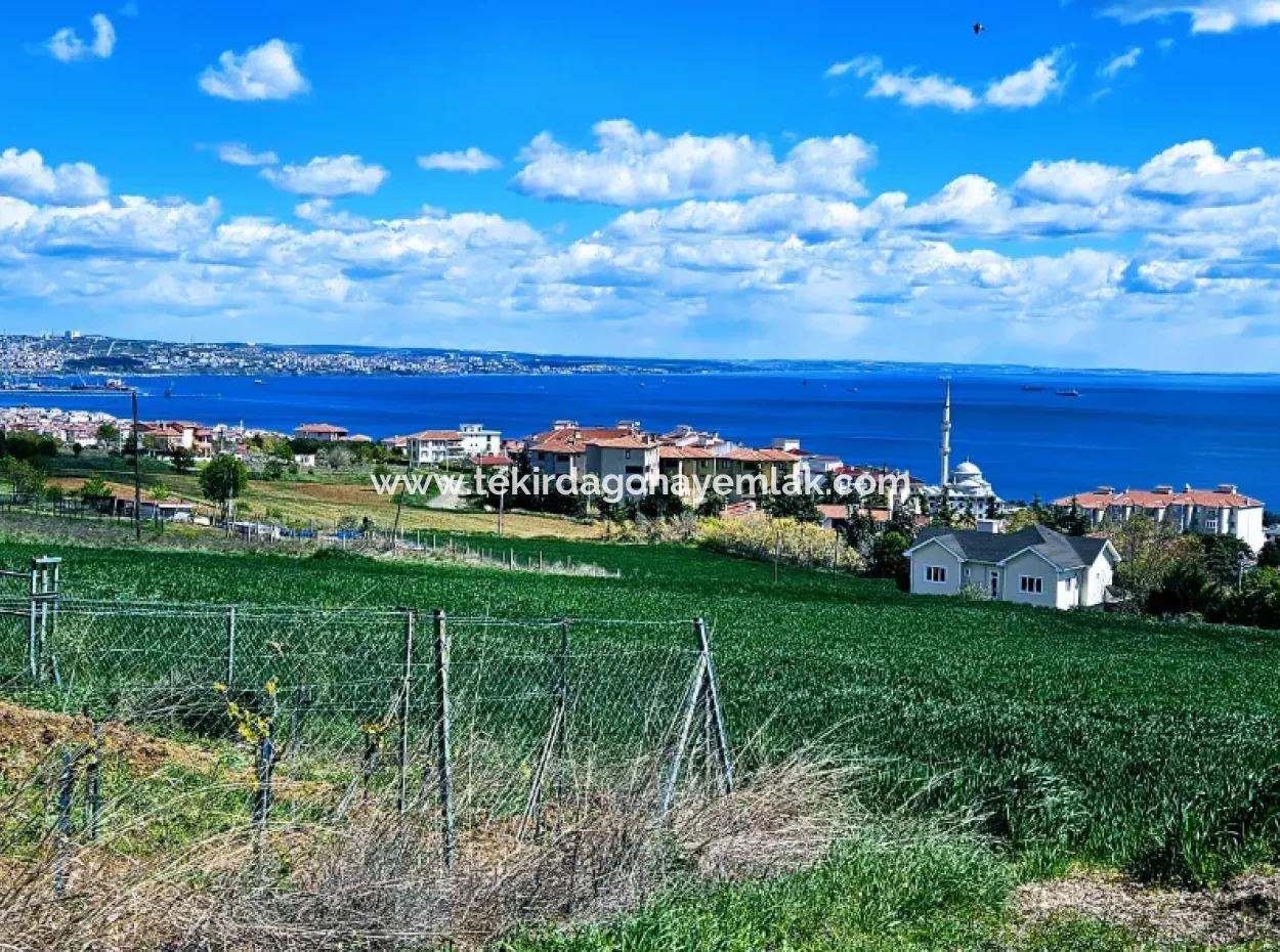 Harika Deniz Ve Doğa Manzaralı İster Kooparetif. İster Lüxs Villa Yap. 40 Dairelik 6.400 Konut İmarlı Arazi