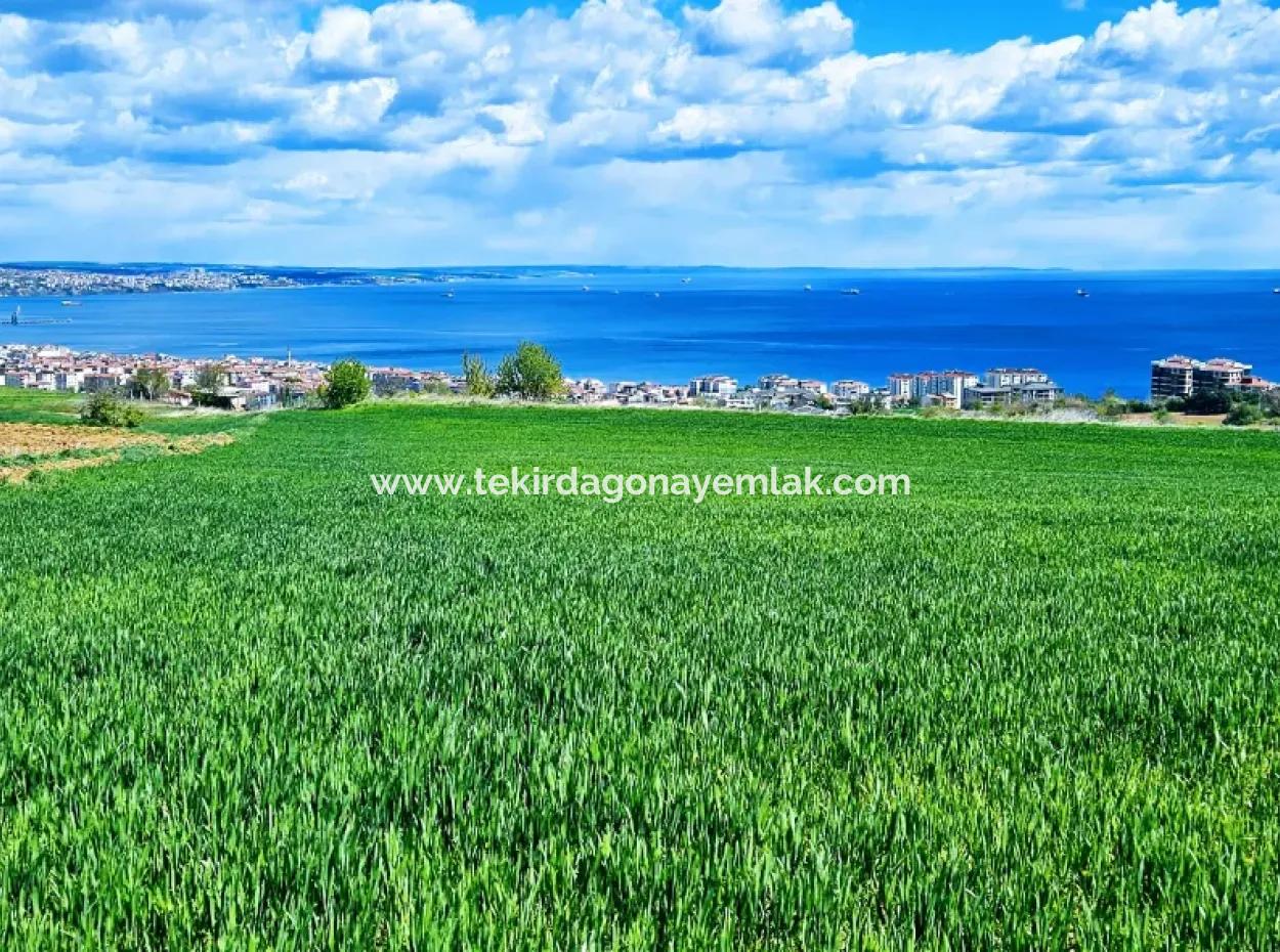 Harika Deniz Ve Doğa Manzaralı İster Kooparetif. İster Lüxs Villa Yap. 40 Dairelik 6.400 Konut İmarlı Arazi