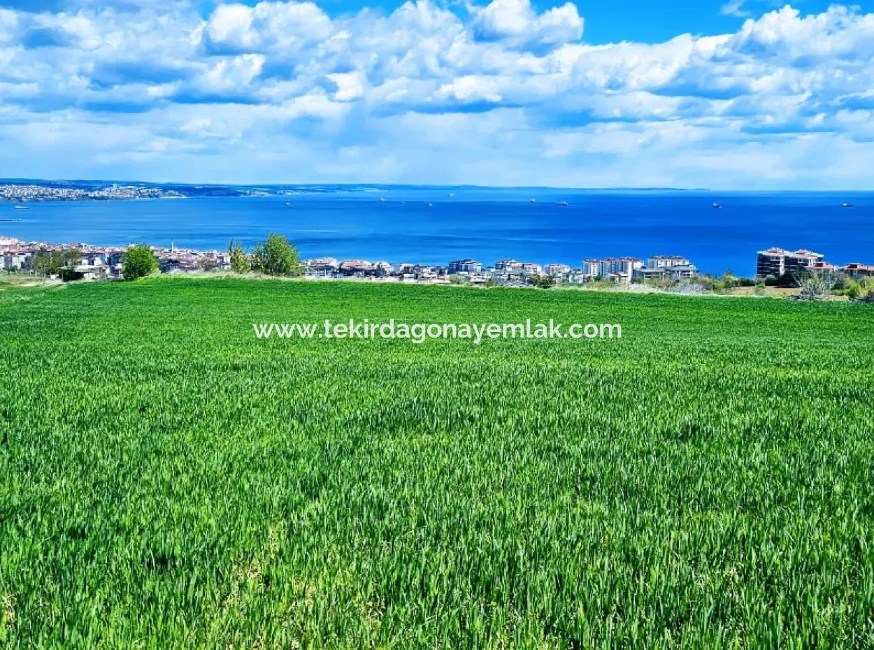 Harika Deniz Ve Doğa Manzaralı İster Kooparetif. İster Lüxs Villa Yap. 40 Dairelik 6.400 Konut İmarlı Arazi