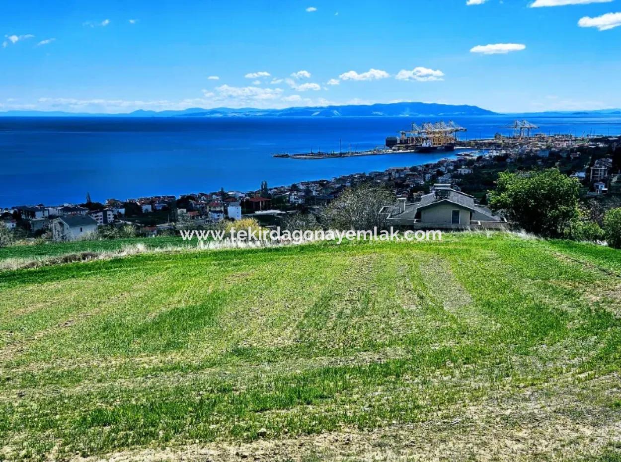 Full Deniz Ve Doğa Manzara Alt Yapı Hazır Lüxs 45 Dairelik Kooparetif Ve Site Yapmaya Uygun Kupon Arazi