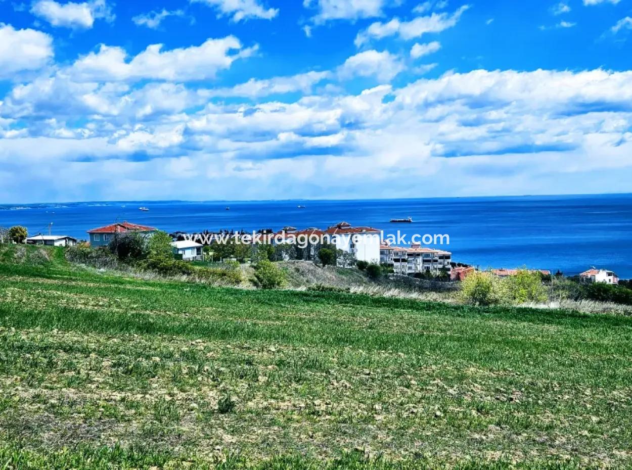 Full Deniz Ve Doğa Manzara Alt Yapı Hazır Lüxs 45 Dairelik Kooparetif Ve Site Yapmaya Uygun Kupon Arazi