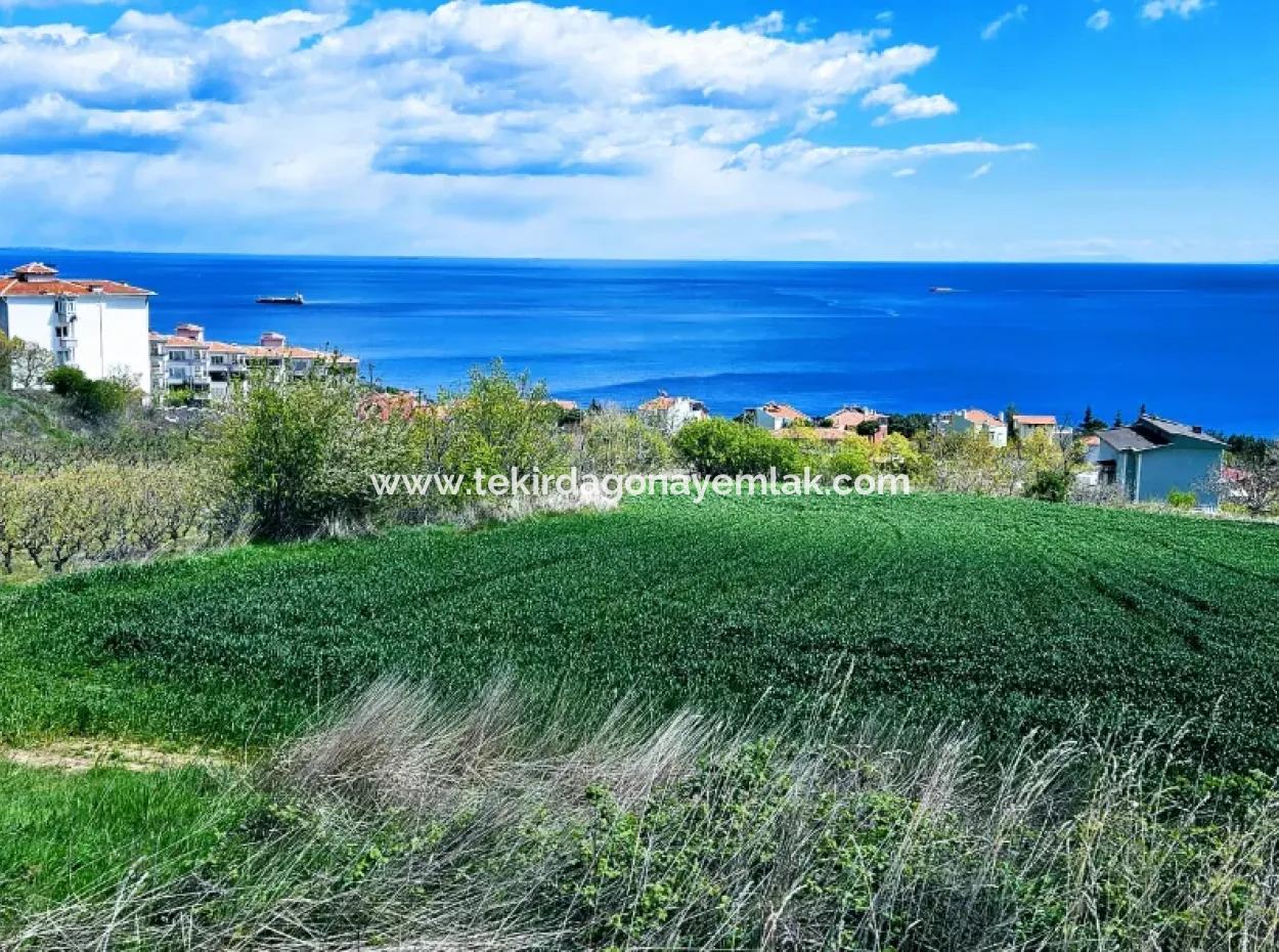 Full Deniz Ve Doğa Manzara Alt Yapı Hazır Lüxs 45 Dairelik Kooparetif Ve Site Yapmaya Uygun Kupon Arazi