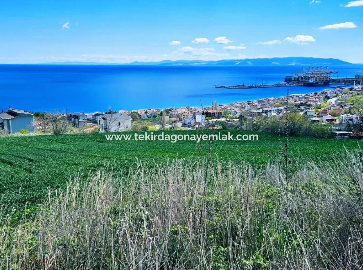 Full Deniz Ve Doğa Manzara Alt Yapı Hazır Lüxs 45 Dairelik Kooparetif Ve Site Yapmaya Uygun Kupon Arazi