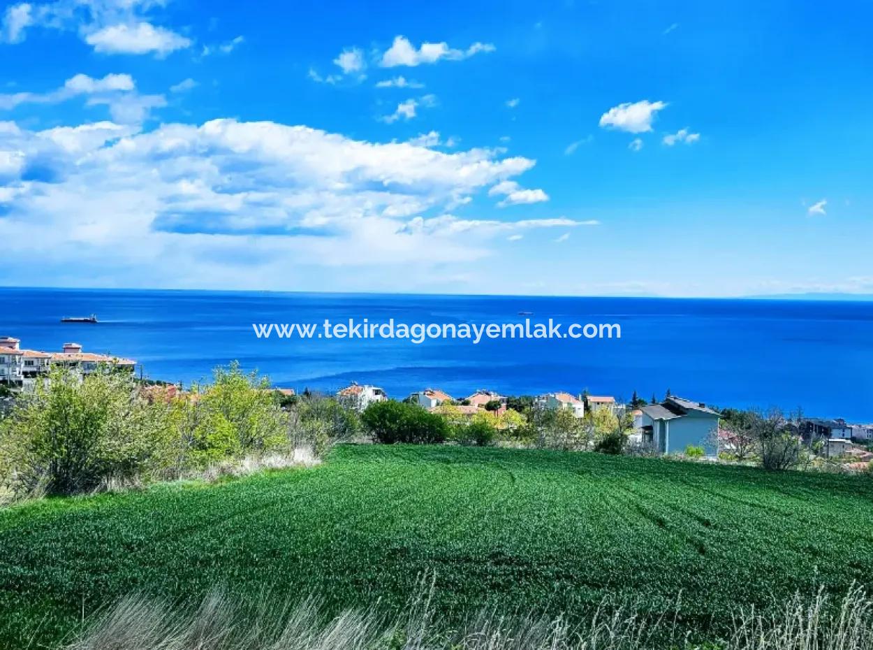 Full Deniz Ve Doğa Manzara Alt Yapı Hazır Lüxs 45 Dairelik Kooparetif Ve Site Yapmaya Uygun Kupon Arazi
