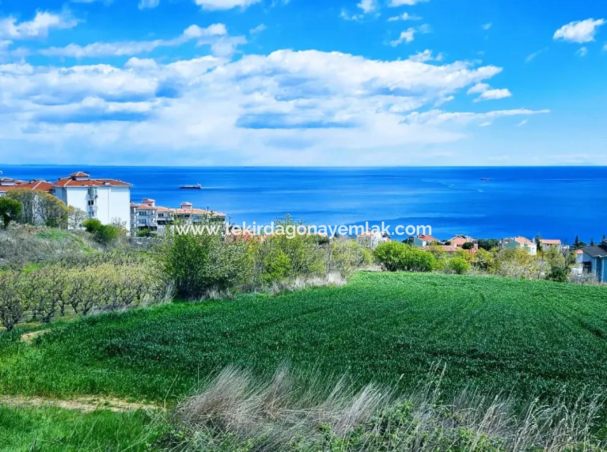 Full Deniz Ve Doğa Manzara Alt Yapı Hazır Lüxs 45 Dairelik Kooparetif Ve Site Yapmaya Uygun Kupon Arazi