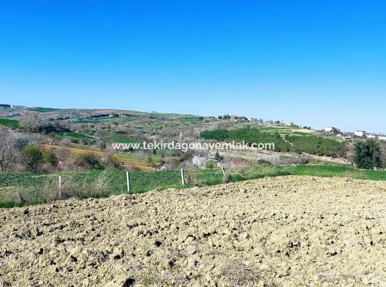 Yatırım Fırsatı: Tekirdağ Barbaros Satılık 615 M2 Köşe Arsa - Acil Satılık, Deniz Ve Doğa Manzaralı, %30 İmarlı