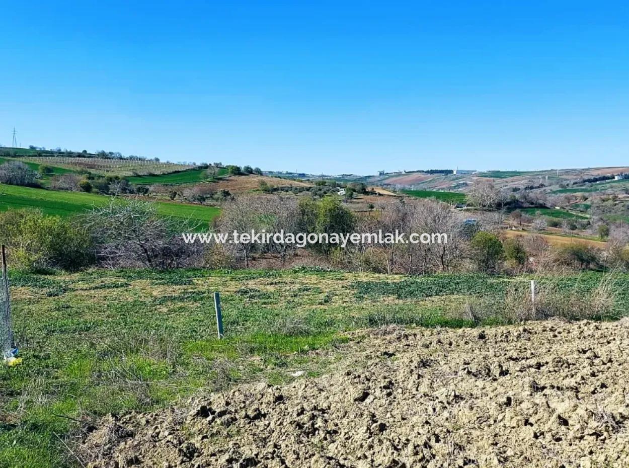 Yatırım Fırsatı: Tekirdağ Barbaros Satılık 615 M2 Köşe Arsa - Acil Satılık, Deniz Ve Doğa Manzaralı, %30 İmarlı