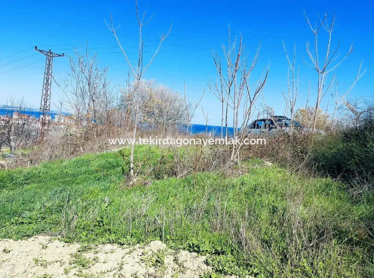 Yatırım Fırsatı: Tekirdağ Barbaros Satılık 615 M2 Köşe Arsa - Acil Satılık, Deniz Ve Doğa Manzaralı, %30 İmarlı