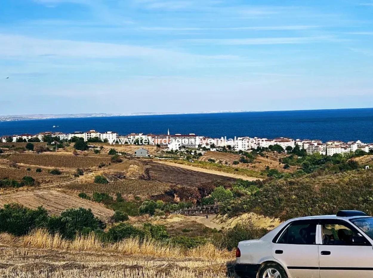 Tekirdağ Süleymanpaşa Barbaros - Topağaç'ta Ramada Hotel'e Yakın 1.150 Metrekarelik Arsa