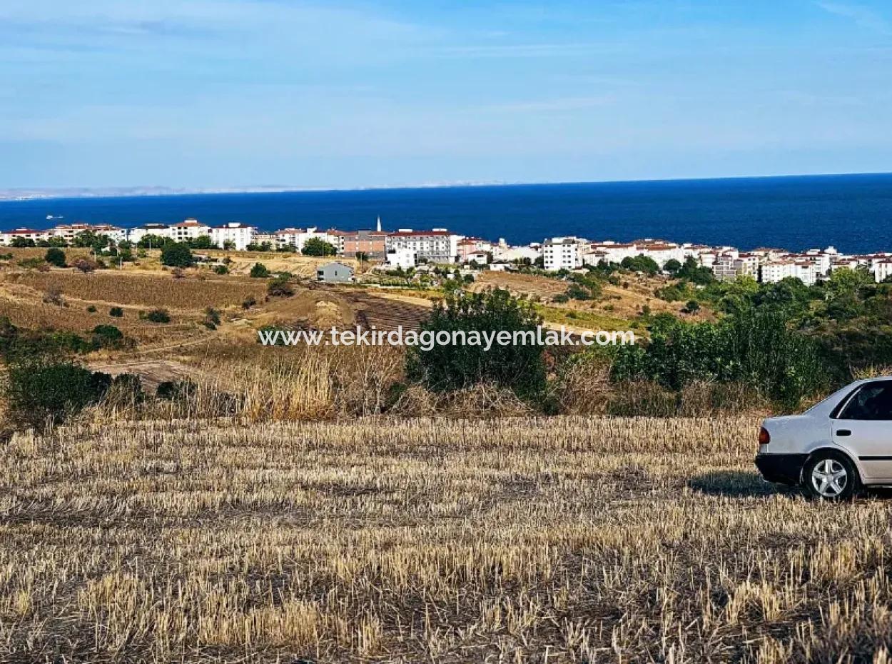 Tekirdağ Süleymanpaşa Barbaros - Topağaç'ta Ramada Hotel'e Yakın 1.150 Metrekarelik Arsa