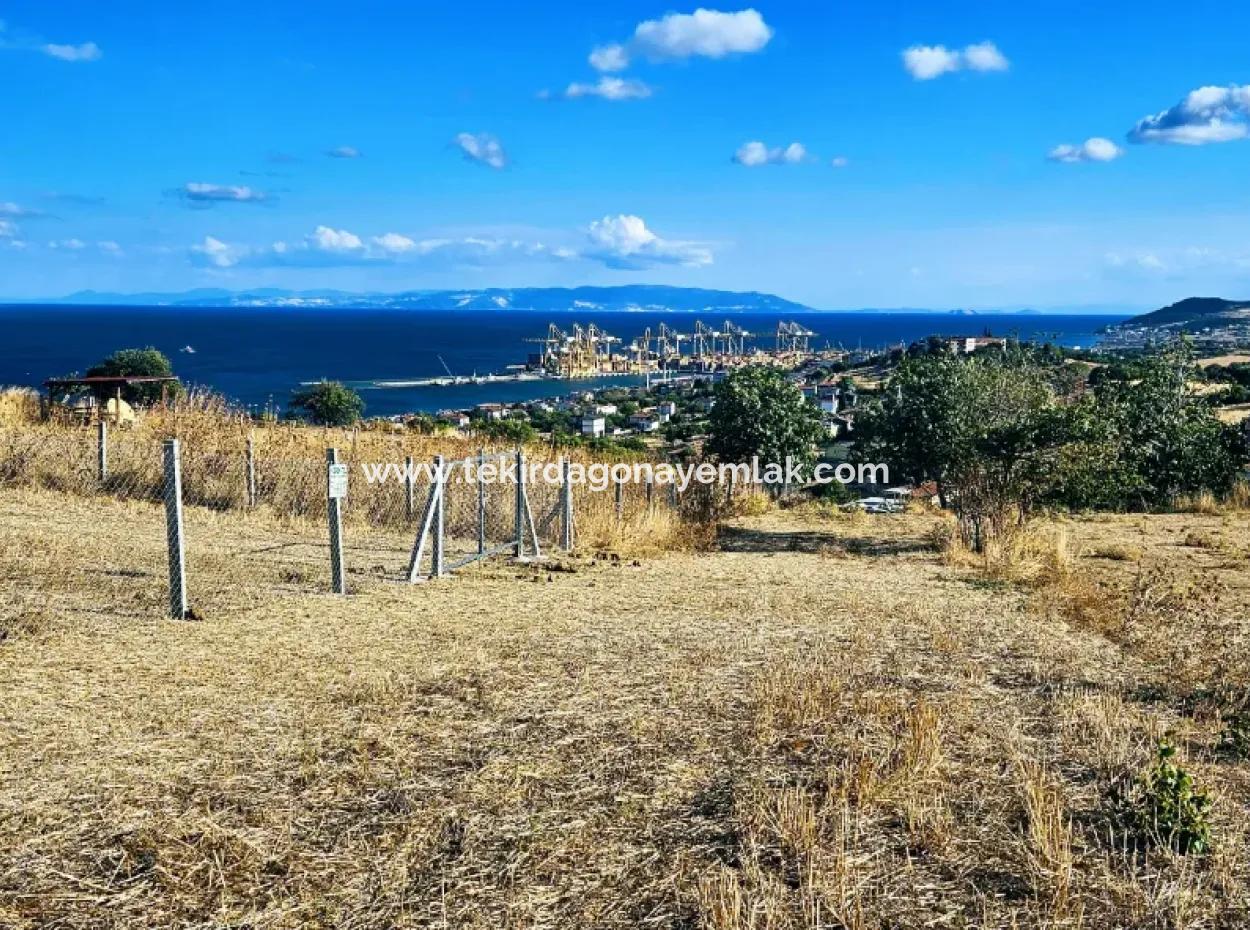 Acil Satılık Full Deniz Manzaralı Takas + Nakit 765 M2 Fırsat Kupon Arsa