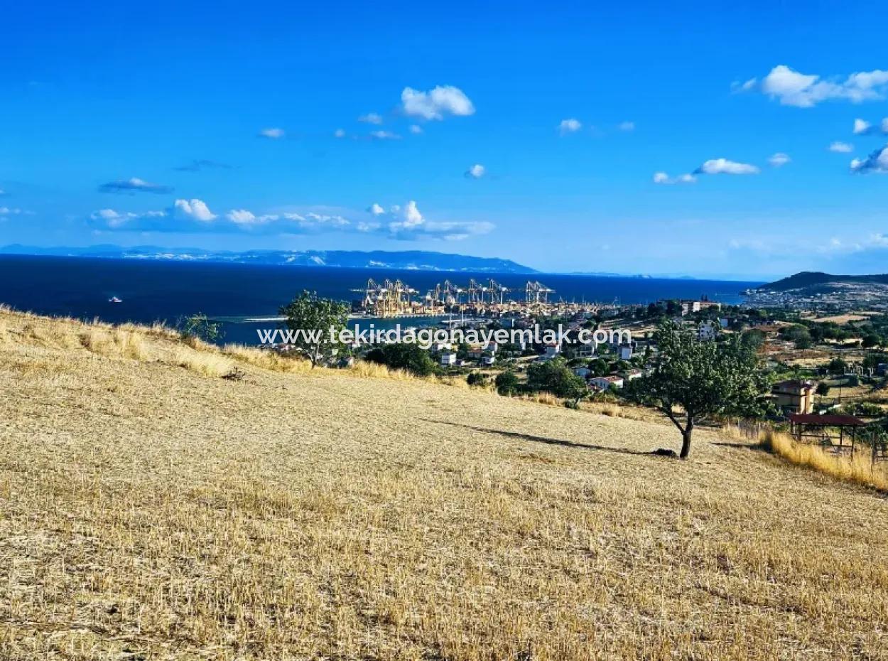 Acil Satılık Full Deniz Manzaralı Takas + Nakit 765 M2 Fırsat Kupon Arsa