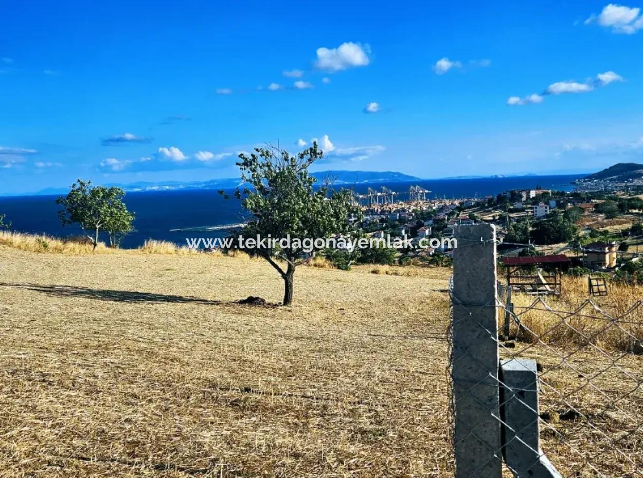 Acil Satılık Full Deniz Manzaralı Takas + Nakit 765 M2 Fırsat Kupon Arsa