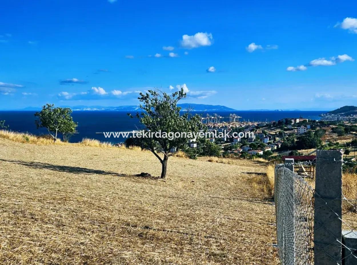 Acil Satılık Full Deniz Manzaralı Takas + Nakit 765 M2 Fırsat Kupon Arsa