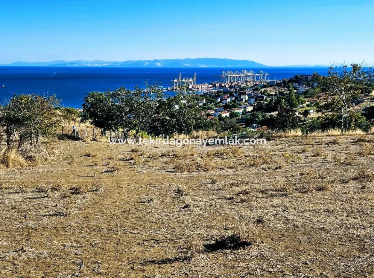 Acil Satılık Full Deniz Manzaralı Takas + Nakit 765 M2 Fırsat Kupon Arsa