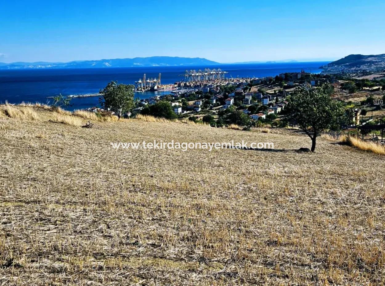 Acil Satılık Full Deniz Manzaralı Takas + Nakit 765 M2 Fırsat Kupon Arsa