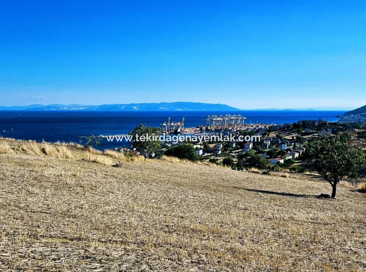 Acil Satılık Full Deniz Manzaralı Takas + Nakit 765 M2 Fırsat Kupon Arsa