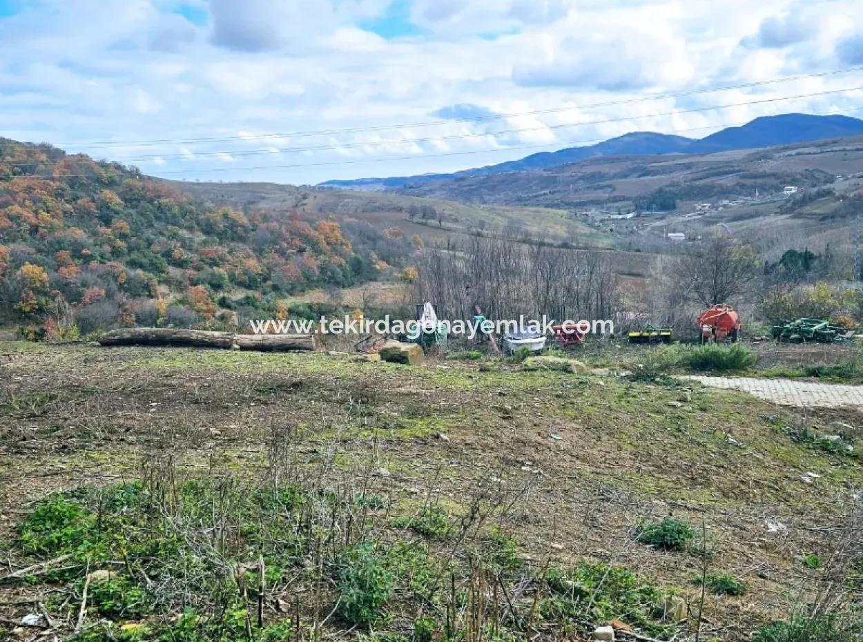 Acil Satılık Köyevi Yapmak İsteyen Meraklısına Fırsat Köşe Arsa