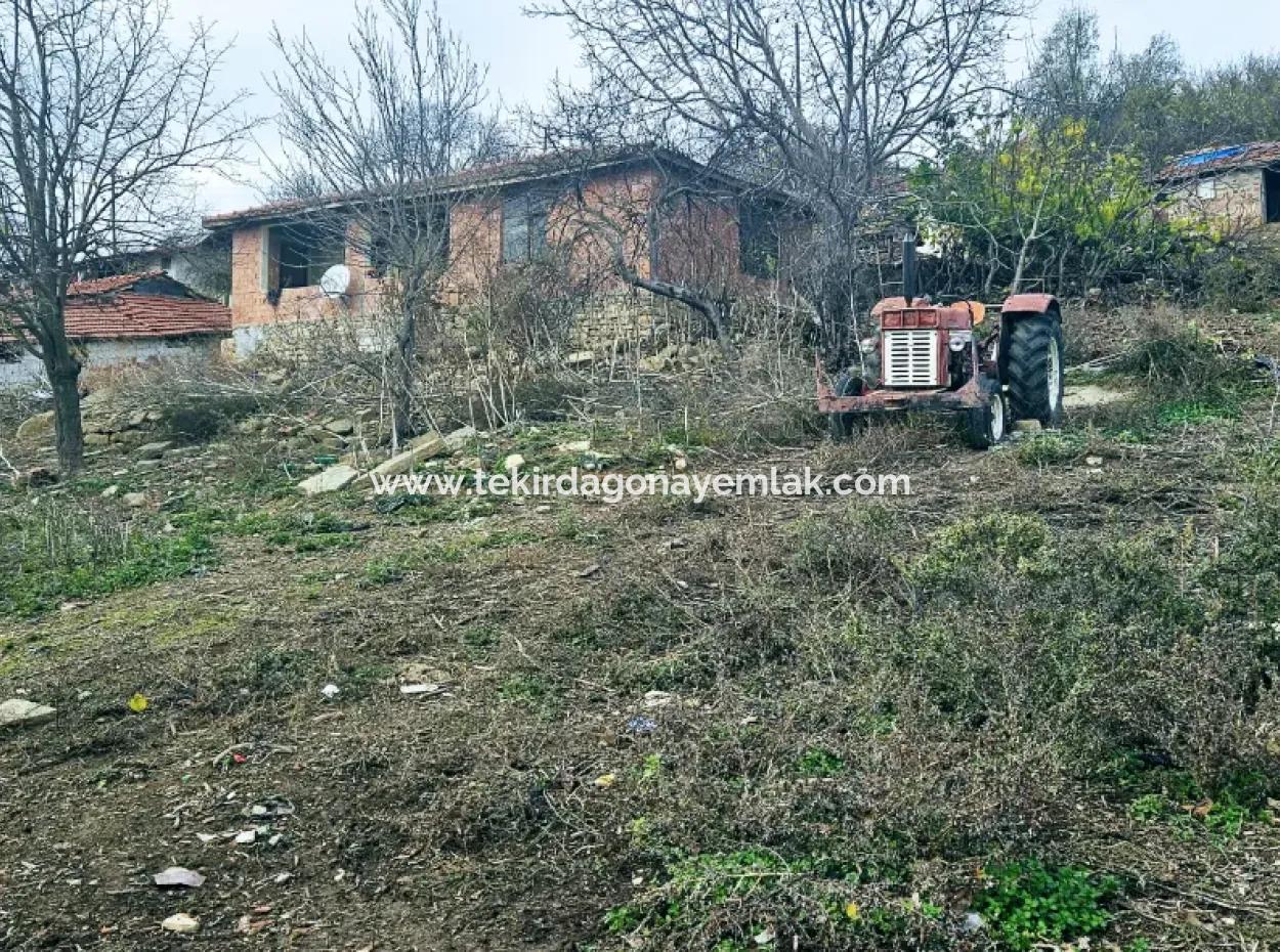 Acil Satılık Köyevi Yapmak İsteyen Meraklısına Fırsat Köşe Arsa