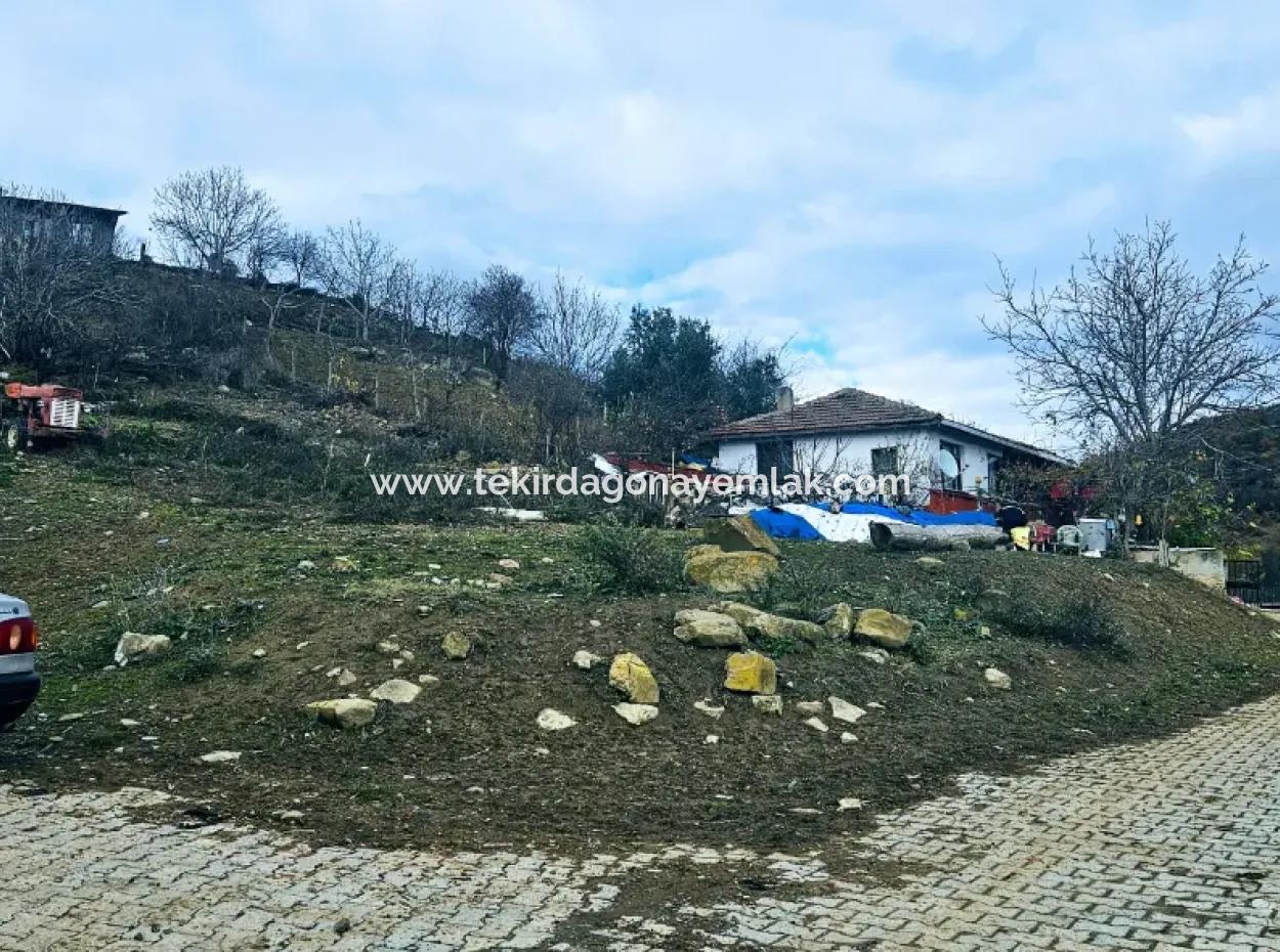 Acil Satılık Köyevi Yapmak İsteyen Meraklısına Fırsat Köşe Arsa