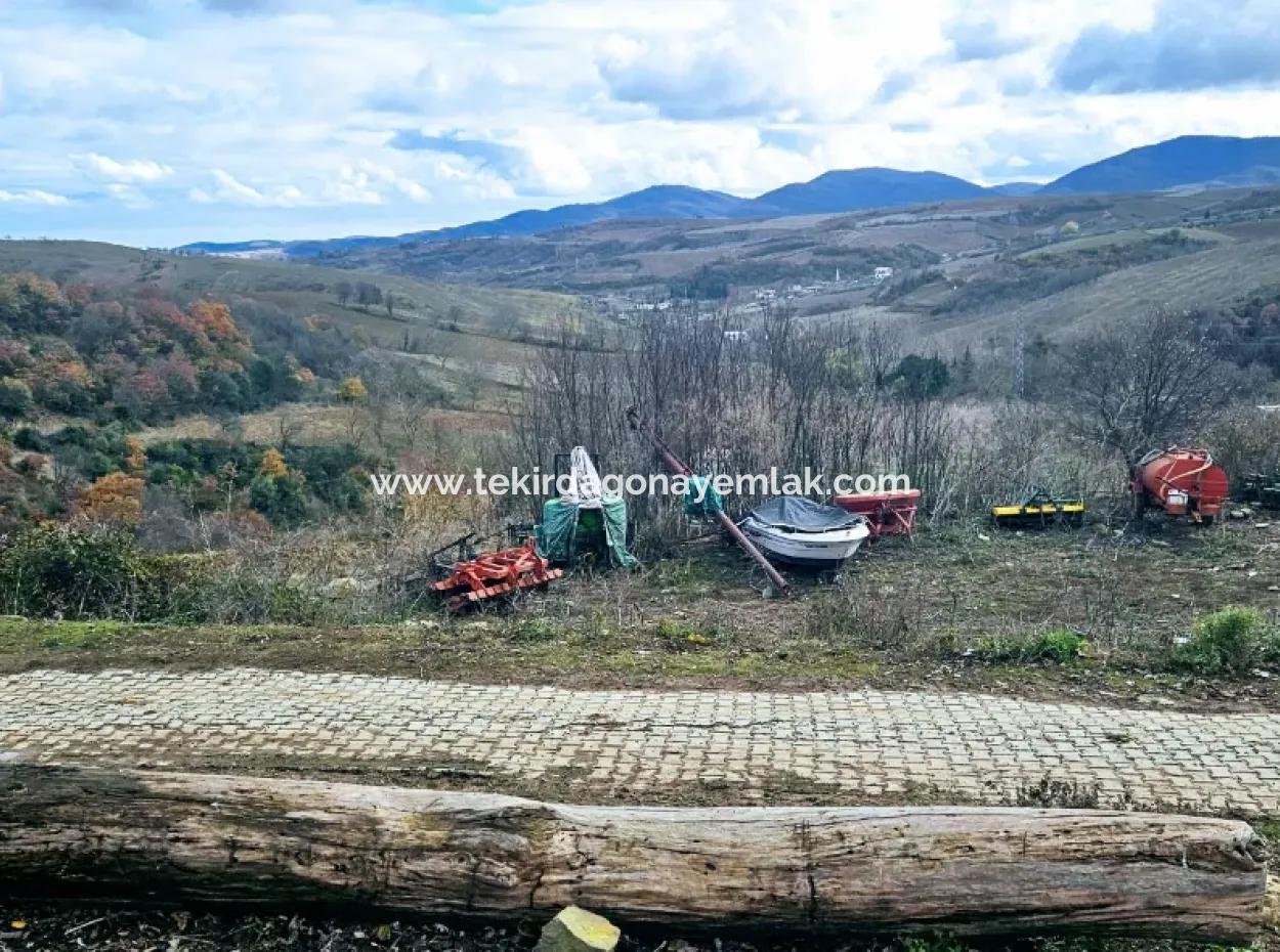 Acil Satılık Köyevi Yapmak İsteyen Meraklısına Fırsat Köşe Arsa
