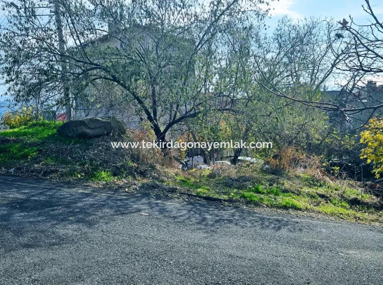 Acil Satılık 2 Adet Arsa 2 Adet Müstakil Ev Yapmaya Uygun Fırsat Kupon Arsa