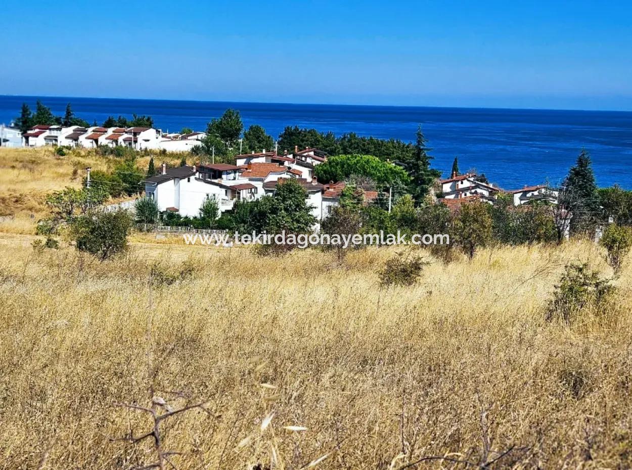 Tekirdağ Barbarosta Harika Konumda Denize Yakın Hayelinizseki Müstakil Ev Yapmaya Uygun Fırsat Arsa