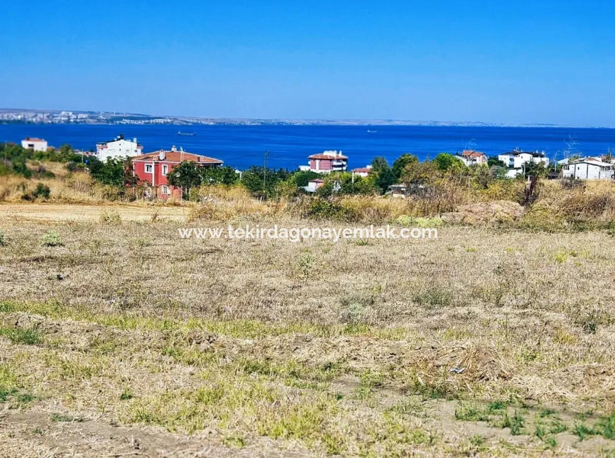 Tekirdağ Barbarosta Harika Konumda Denize Yakın Hayelinizseki Müstakil Ev Yapmaya Uygun Fırsat Arsa