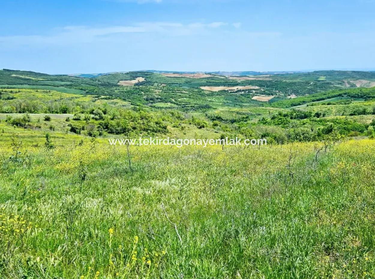 Acil Satılık Hayelinizdeki Çiftlği Kurmak İçin Harika Bir Fırsat 2.600 Dönüm Mera Cepheli