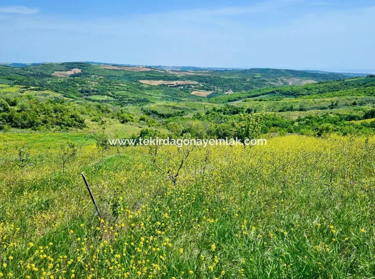 Acil Satılık Hayelinizdeki Çiftlği Kurmak İçin Harika Bir Fırsat 2.600 Dönüm Mera Cepheli