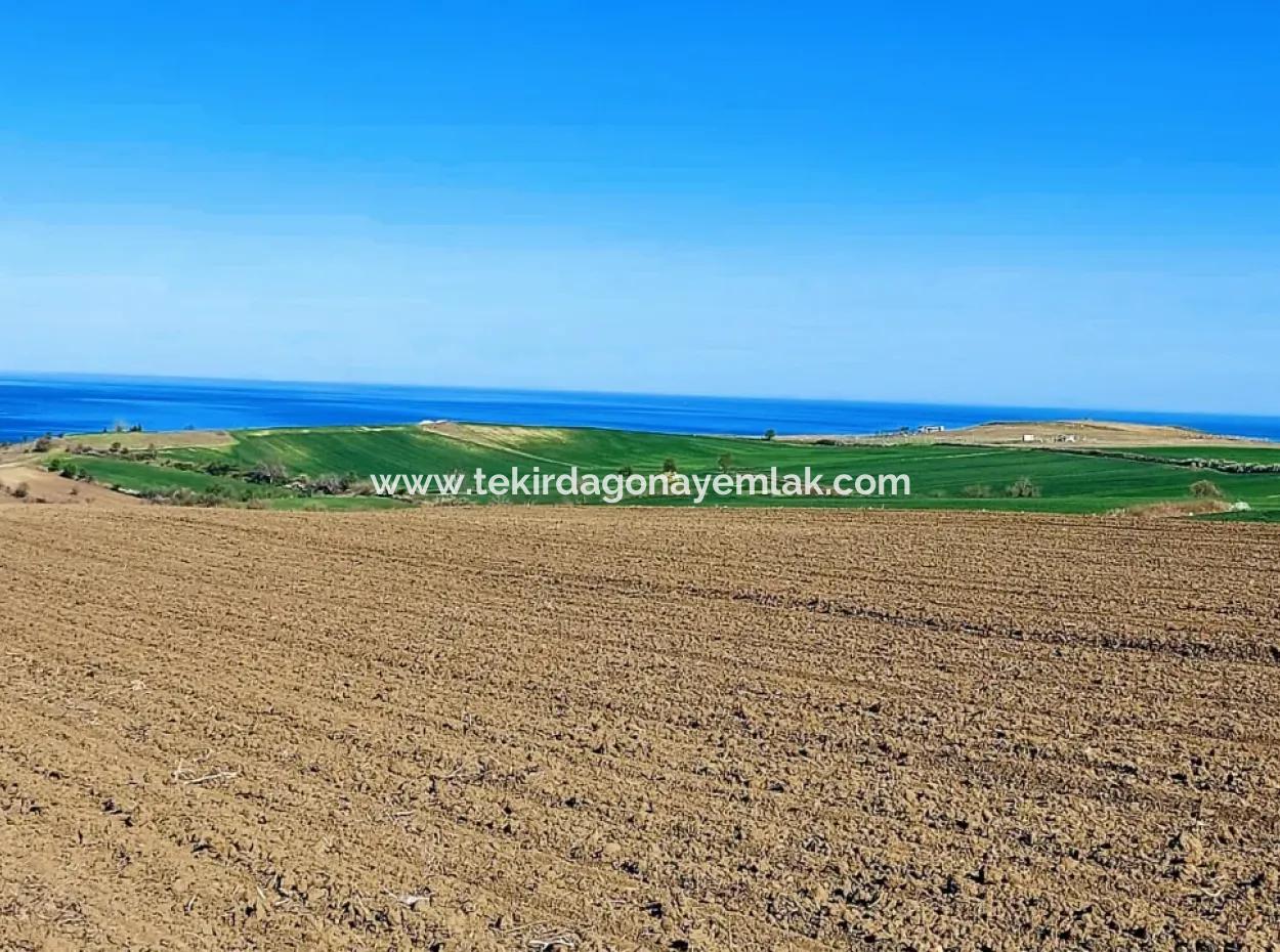 Tekirdağ Barbarosta Lüxs Villa Projeni Yap. Mütahitlere Kat Karşılığı Ver  Yüksek Kazanç Sağla Full Deniz Manzaralı Villa İmarlı Arazi