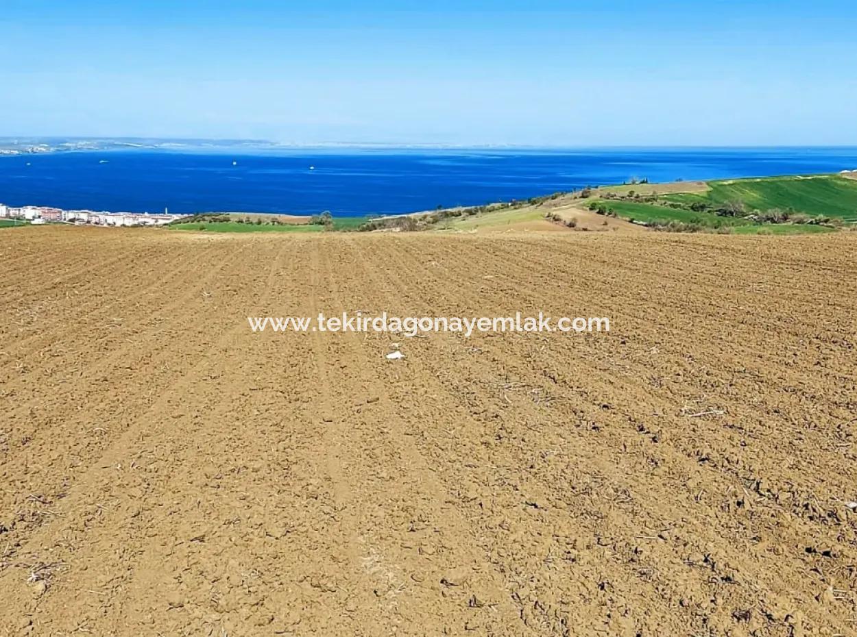 Tekirdağ Barbarosta Lüxs Villa Projeni Yap. Mütahitlere Kat Karşılığı Ver  Yüksek Kazanç Sağla Full Deniz Manzaralı Villa İmarlı Arazi