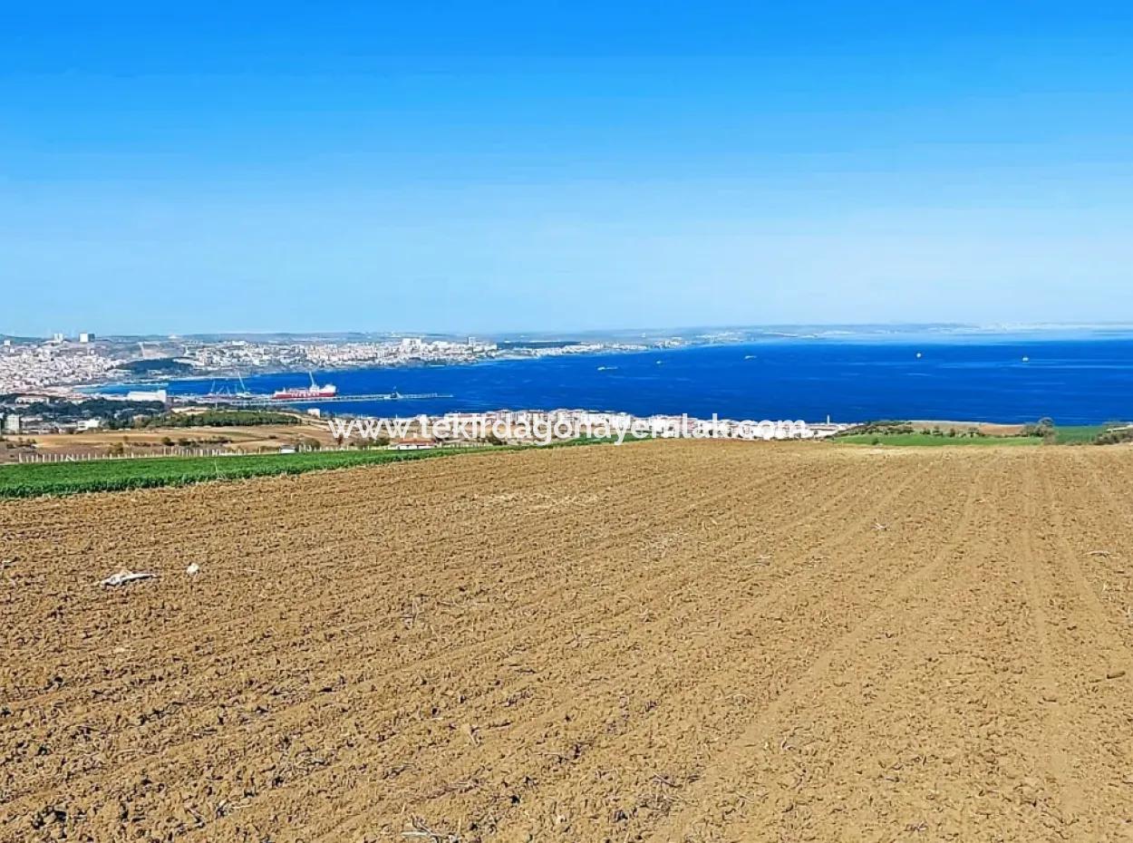 Tekirdağ Barbarosta Lüxs Villa Projeni Yap. Mütahitlere Kat Karşılığı Ver  Yüksek Kazanç Sağla Full Deniz Manzaralı Villa İmarlı Arazi