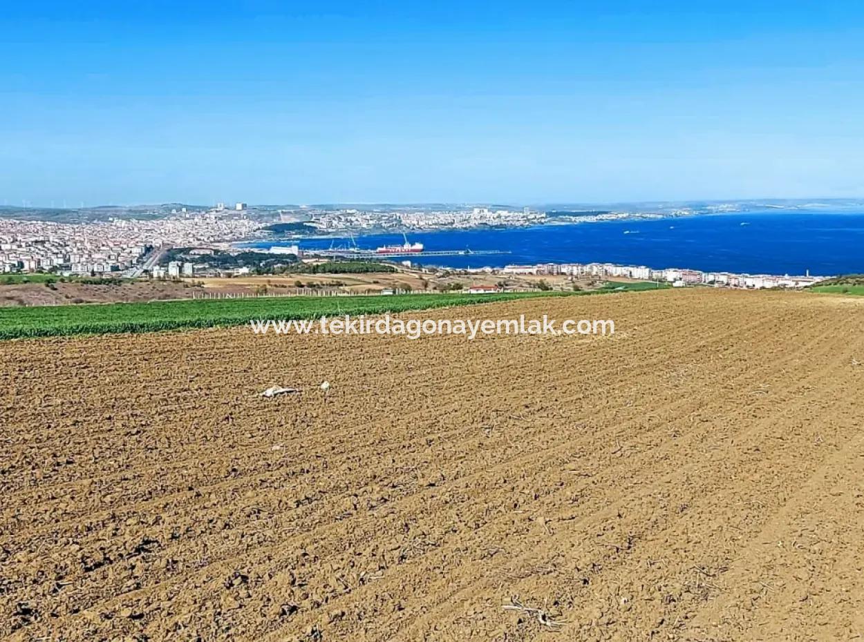 Tekirdağ Barbarosta Lüxs Villa Projeni Yap. Mütahitlere Kat Karşılığı Ver  Yüksek Kazanç Sağla Full Deniz Manzaralı Villa İmarlı Arazi
