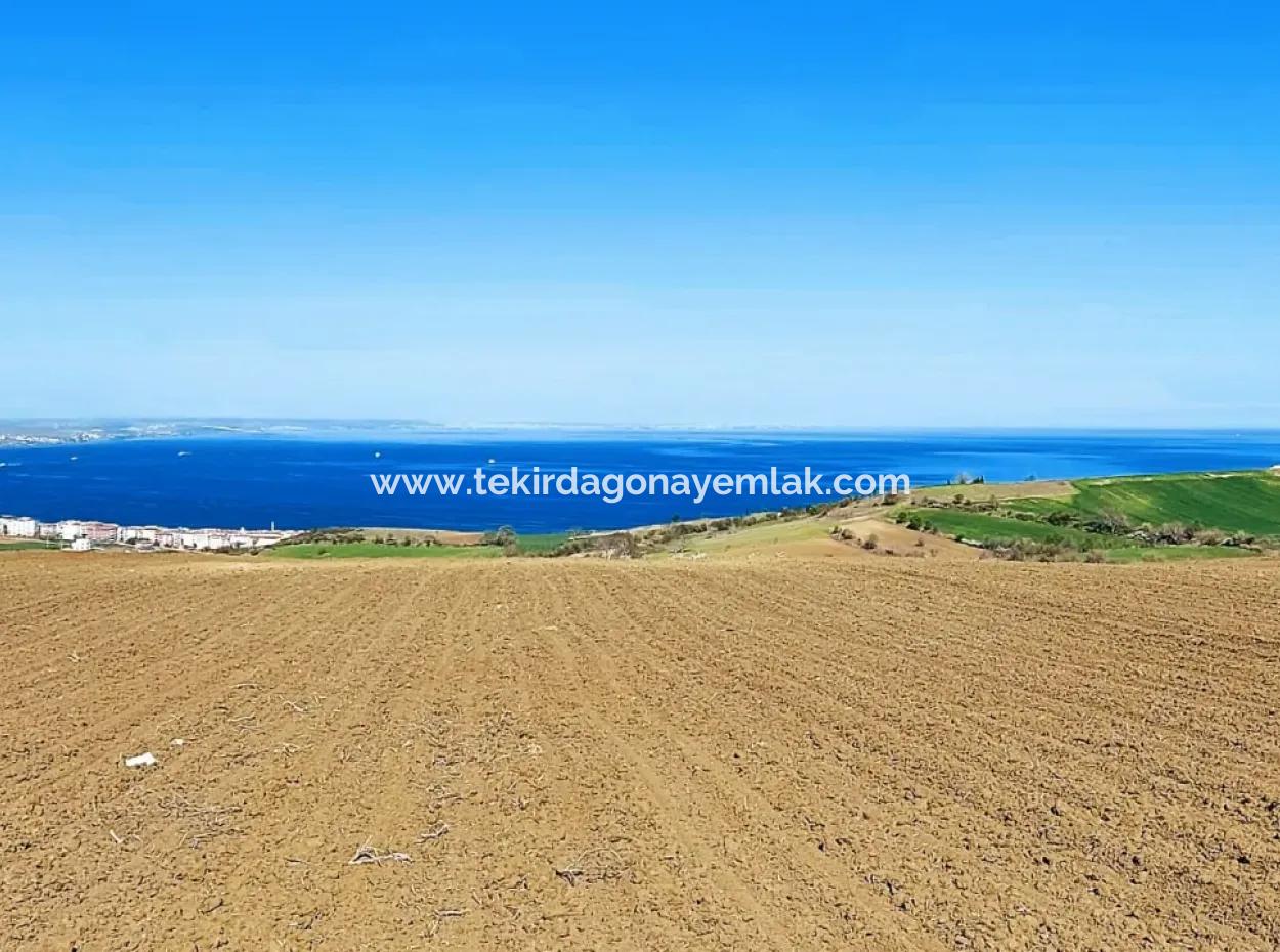 Tekirdağ Barbarosta Lüxs Villa Projeni Yap. Mütahitlere Kat Karşılığı Ver  Yüksek Kazanç Sağla Full Deniz Manzaralı Villa İmarlı Arazi