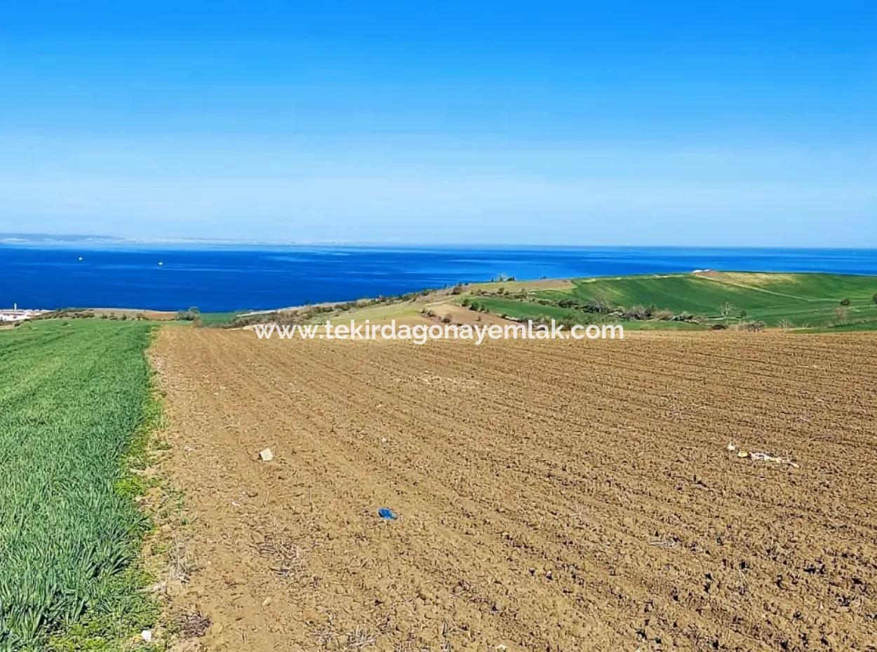 Tekirdağ Barbarosta Lüxs Villa Projeni Yap. Mütahitlere Kat Karşılığı Ver  Yüksek Kazanç Sağla Full Deniz Manzaralı Villa İmarlı Arazi