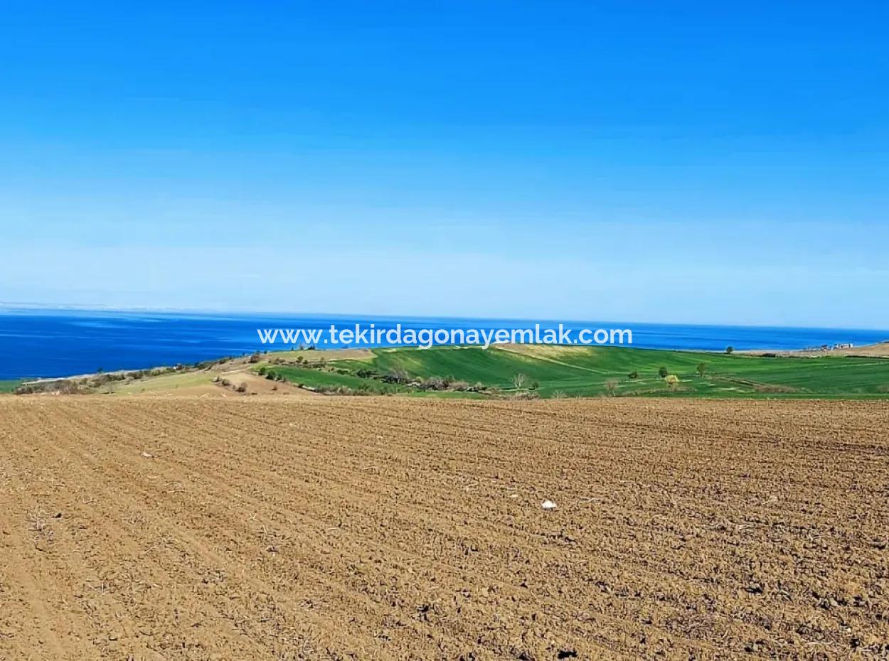 Tekirdağ Barbarosta Lüxs Villa Projeni Yap. Mütahitlere Kat Karşılığı Ver  Yüksek Kazanç Sağla Full Deniz Manzaralı Villa İmarlı Arazi