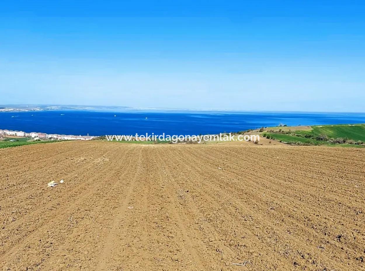 Tekirdağ Barbarosta Lüxs Villa Projeni Yap. Mütahitlere Kat Karşılığı Ver  Yüksek Kazanç Sağla Full Deniz Manzaralı Villa İmarlı Arazi
