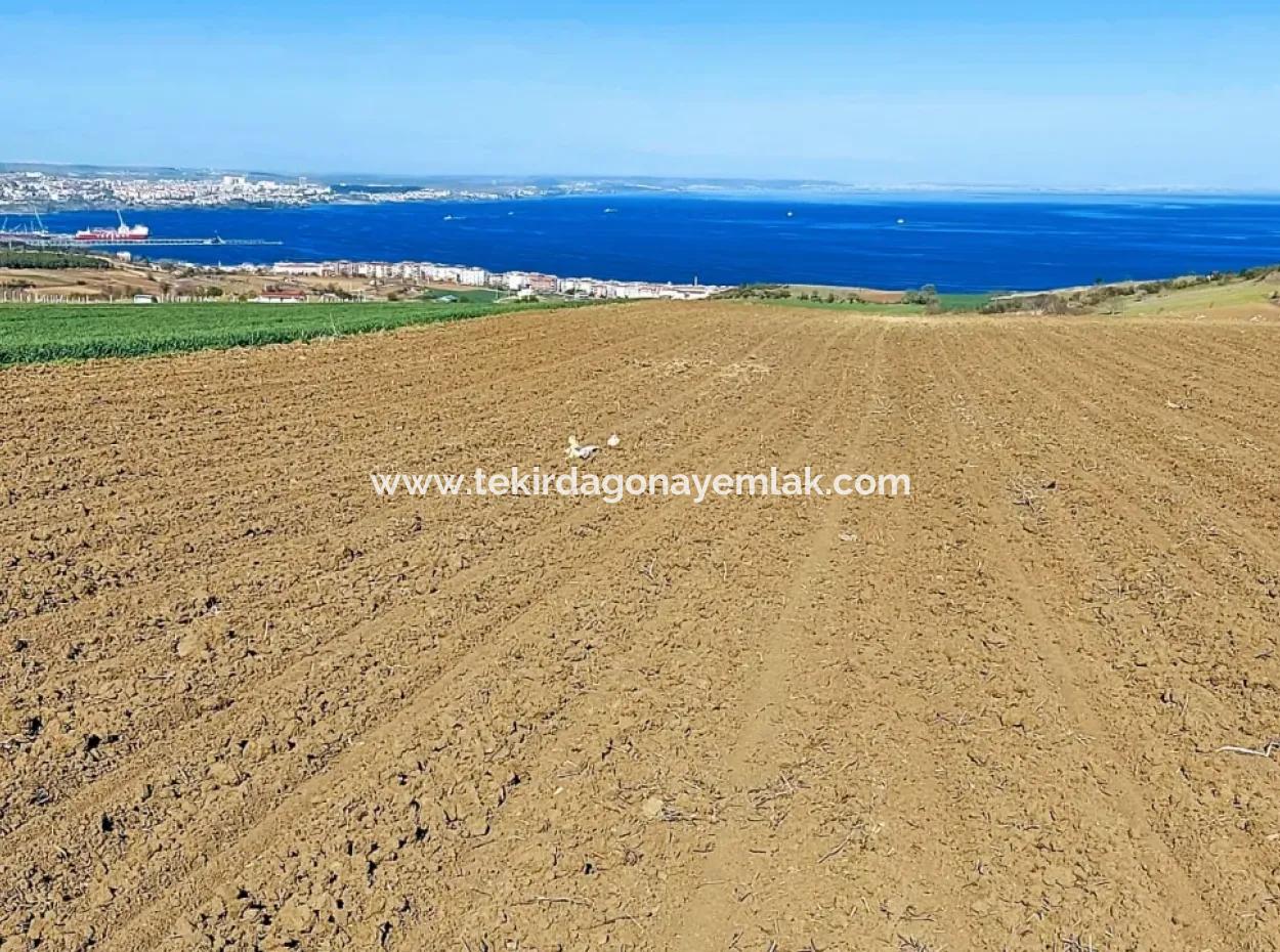 Tekirdağ Barbarosta Lüxs Villa Projeni Yap. Mütahitlere Kat Karşılığı Ver  Yüksek Kazanç Sağla Full Deniz Manzaralı Villa İmarlı Arazi