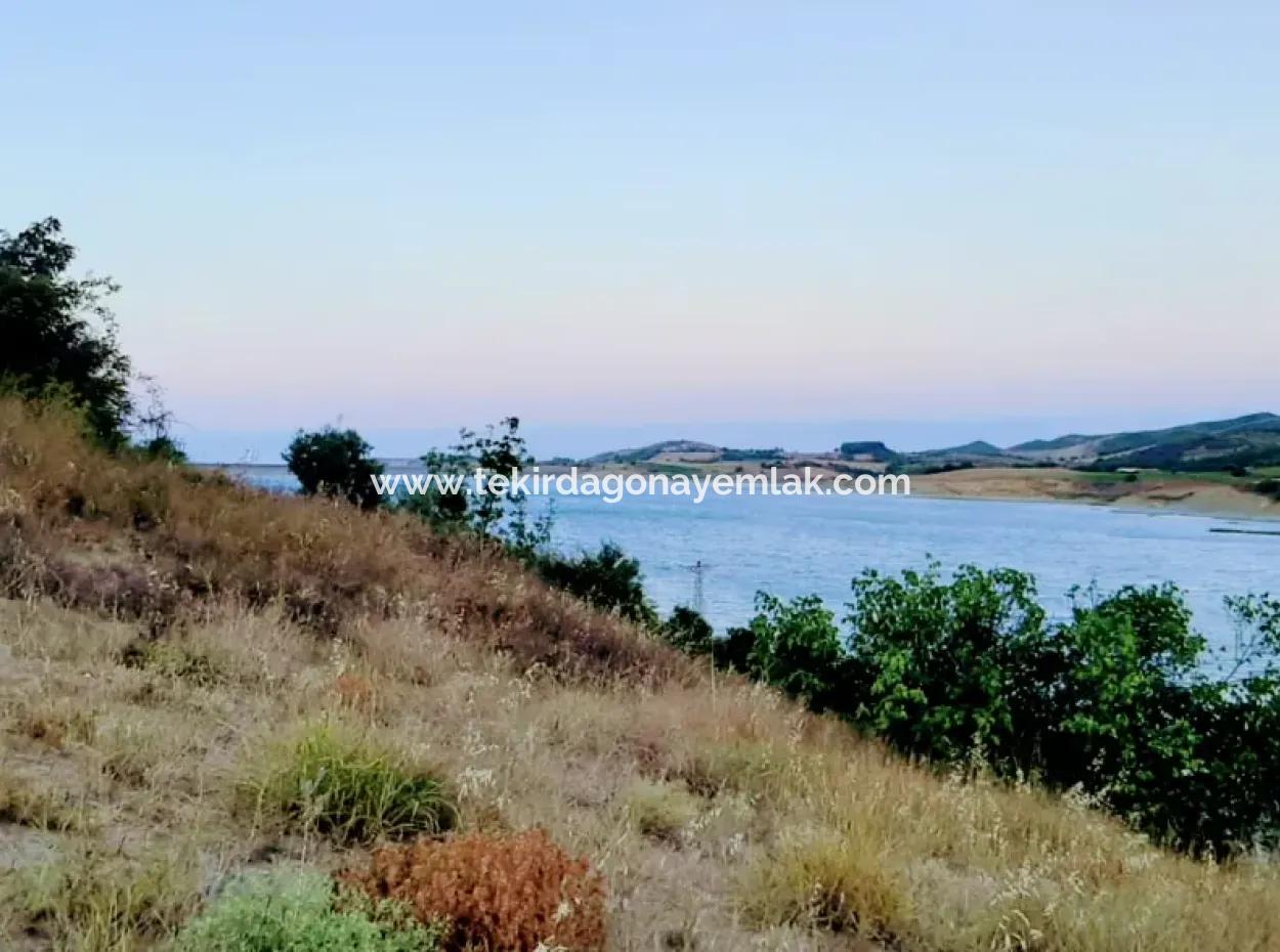 Tekirdağ Yeniköyde Satılık 3.000 M2 Gölete Cepheli Satılık Tarla