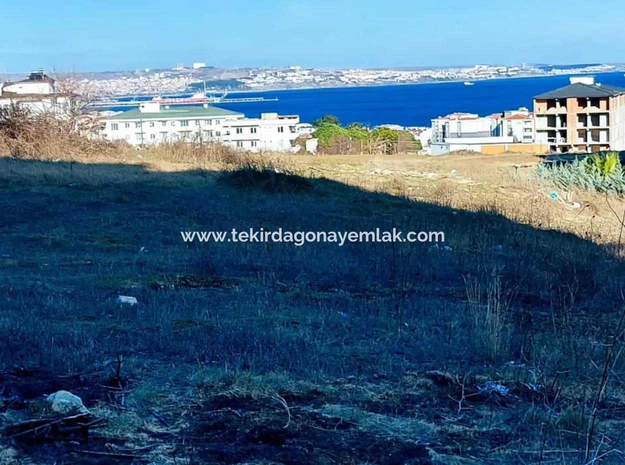 Tekirdağ Topağaç Mahallesinde 9 Kat İmarlı 55 Dairelik Fırsat Kupon Arsa