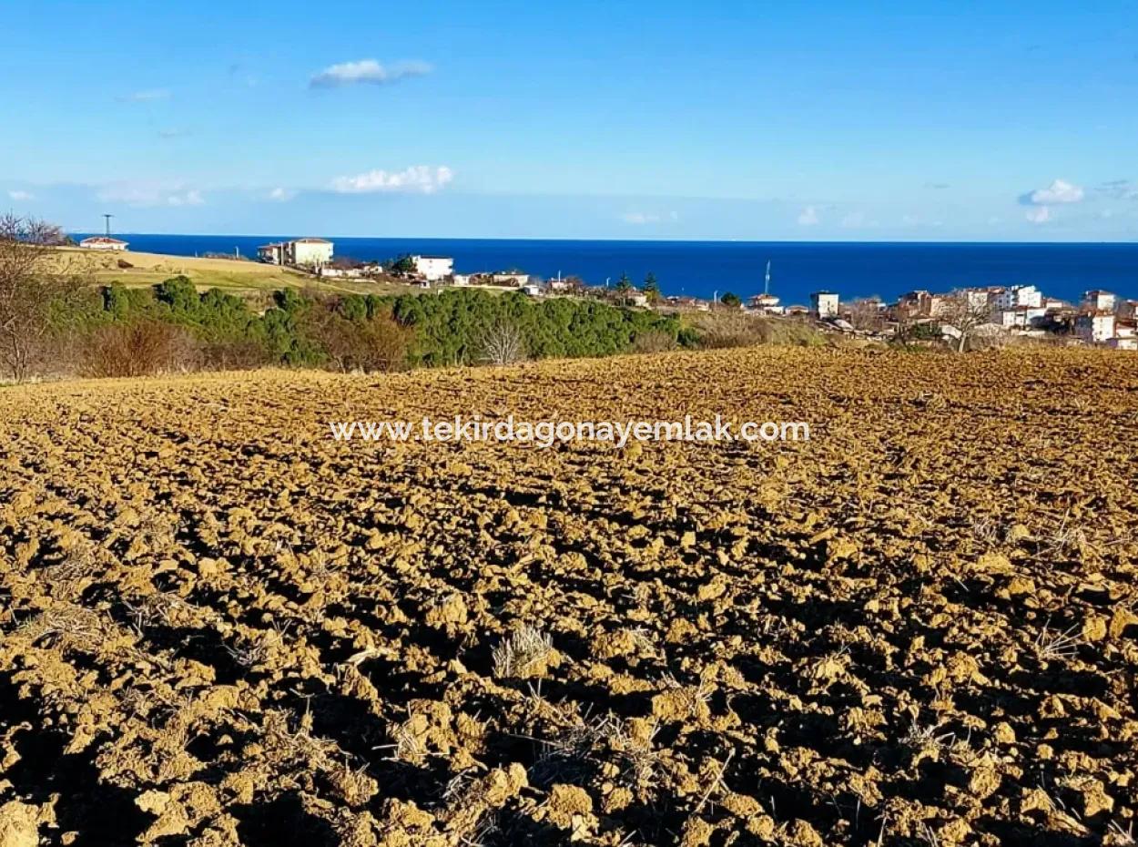 Tekirdağ'ın Süleymanpaşa Barbaros Mevkisinde Bulunan Eşsiz 17.800 M2 Konut İmarlı Arsa
