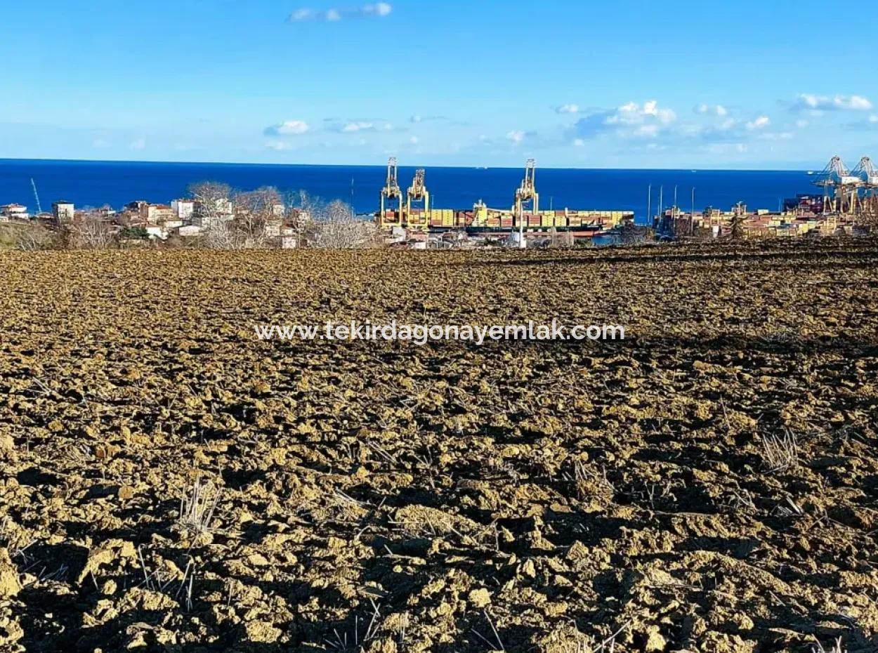 Tekirdağ'ın Süleymanpaşa Barbaros Mevkisinde Bulunan Eşsiz 17.800 M2 Konut İmarlı Arsa