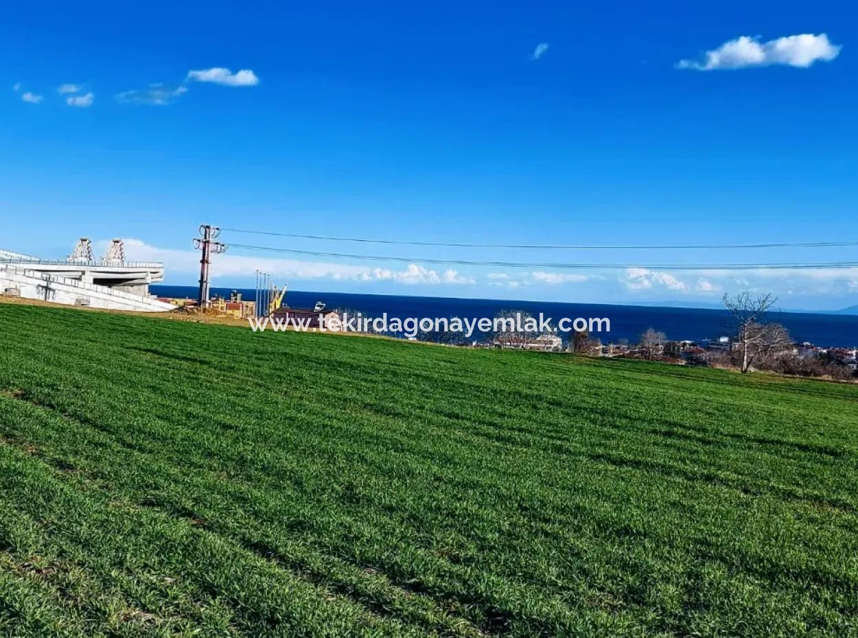 Tekirdağ Süleymanpaşa Barbaros'ta Bulunan Bu 11.100 M2 Konut İmarlı Arazi, Harika Bir Konumda Yer Alıyor.