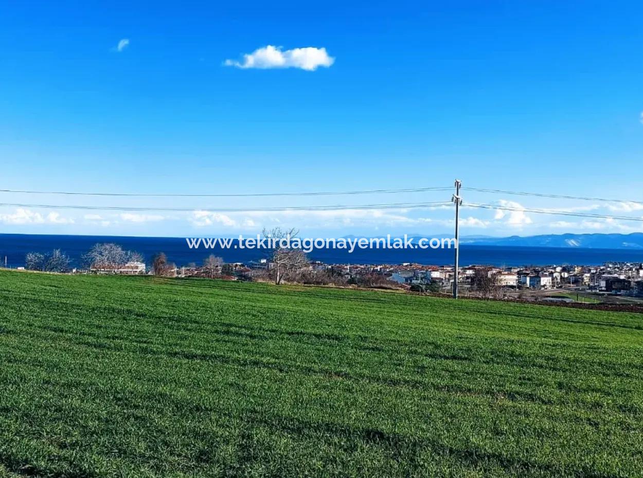 Tekirdağ Süleymanpaşa Barbaros'ta Bulunan Bu 11.100 M2 Konut İmarlı Arazi, Harika Bir Konumda Yer Alıyor.